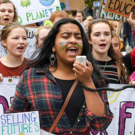 Theresa Rose Sebastian